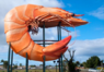 Thumbnail image for 2022 North Coast Conference - Last chance to register