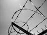 Thumbnail image for ANZAPPL seminar on immigration detention (ADVERTISEMENT)