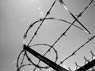 Thumbnail image for Tenth Annual Asylum Seekers Centre NSW Quiz Night