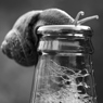 Thumbnail image for Common Law Practice Update 30